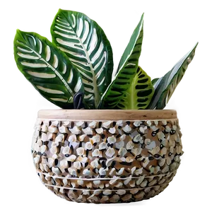 Plant-inspired Home Decor PNG Yyo11 PNG