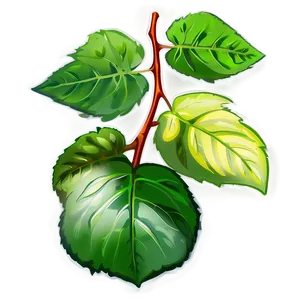 Plant Photosynthesis Process PNG 32