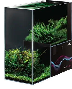 Planted Aquarium Cube Design
