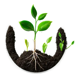 Planting Sprout PNG Gfu