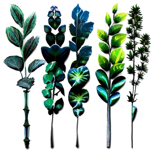 Plants C