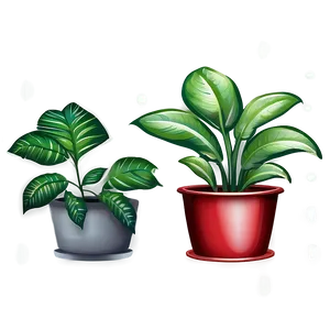 Plants D PNG