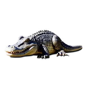 Playful Alligator PNG 86