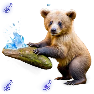 Playful Bear Cub PNG 48