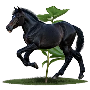 Playful Black Foal Horse PNG 1 PNG