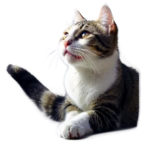 Playful Cat Illustration PNG Scs79