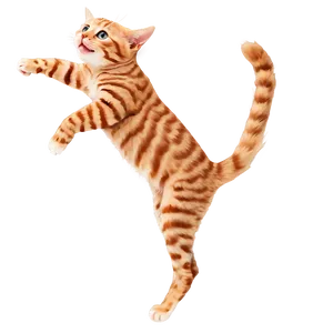Playful Cat Meme PNG Khq82