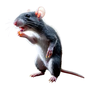 Playful Cute Rat Png Lsb31 PNG image