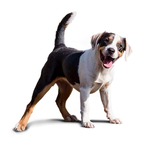 Playful Dogs PNG 87