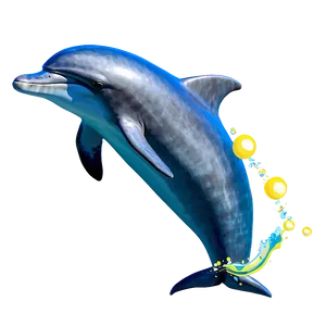 Playful Dolphin Png Frq82 PNG image