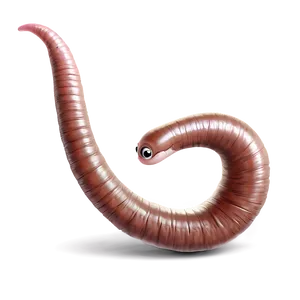 Playful Earthworm Cartoon Png Hyd52 PNG image