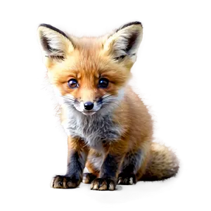 Playful Fox Cub Png 05062024 PNG image