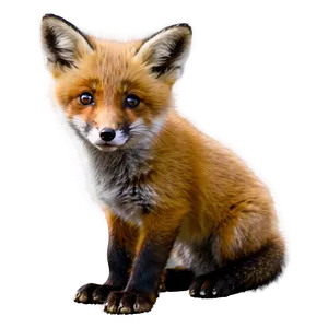 Playful Fox Cub Png Owl PNG image