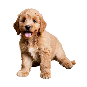 Playful Goldendoodle Puppy PNG 06262024 PNG