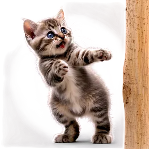 Playful Grey Kitten PNG Xfn29 PNG