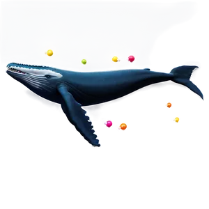 Playful Humpback Whale Png Rok PNG image