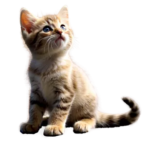 Playful Kitten Image PNG 38 PNG