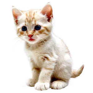 Playful Kitten Image PNG Tug PNG