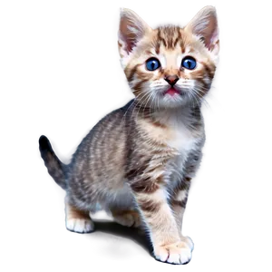 Playful Kitten PNG Oxs