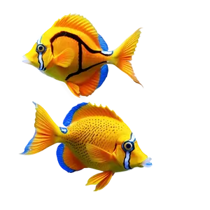 Playful Marine Fish PNG Wmy75 PNG