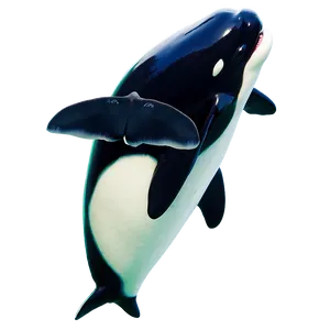 Playful Orca PNG Frb12 PNG
