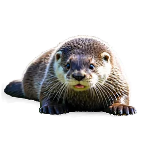 Playful Otter PNG 84