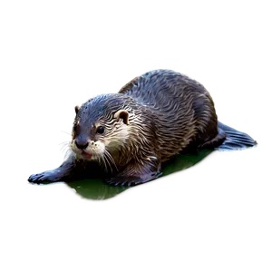 Playful Otter PNG Imk