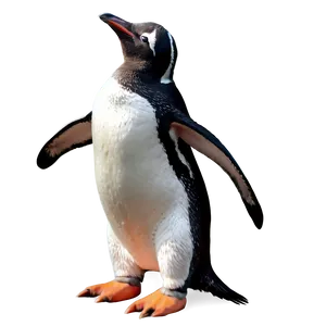 Playful Penguin PNG 56