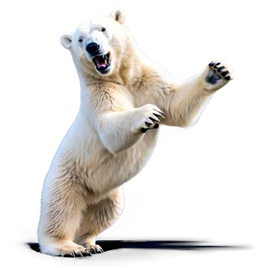 Playful Polar Bear Png Ydh PNG image