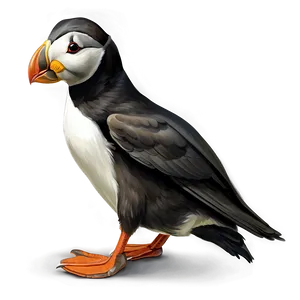 Playful Puffin Art PNG 06292024 PNG