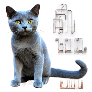 Playful Russian Blue Cat Png 06272024 PNG image