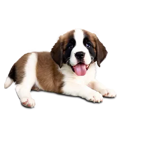 Playful Saint Bernard Puppies Png 06252024 PNG image