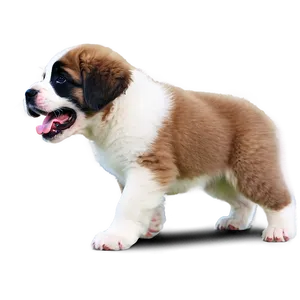 Playful Saint Bernard Puppies PNG 06252024 PNG