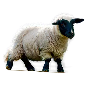 Playful Sheep PNG 39