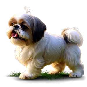 Playful Shih Tzu In Yard Png 1 PNG image