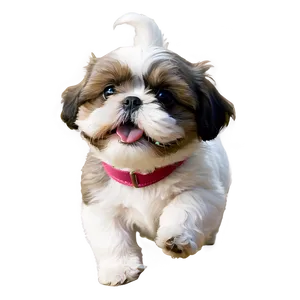 Playful Shih Tzu Puppies PNG 99 PNG