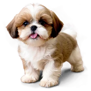 Playful Shih Tzu Puppies PNG Qkb7 PNG