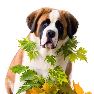 Playful St Bernard In Leaves PNG 6 PNG
