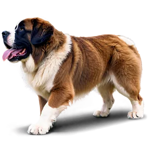 Playful St Bernard In Leaves PNG Hyk