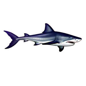 Playful Tiger Shark Cartoon PNG Sfe50 PNG