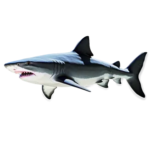 Playful Tiger Shark Cartoon PNG Vot