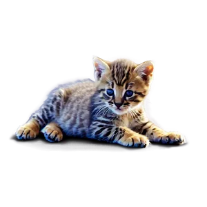 Playful Wildcat Kitten PNG Pnm88 PNG