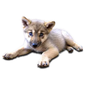 Playful Wolf Pups In Den PNG Vdo53 PNG