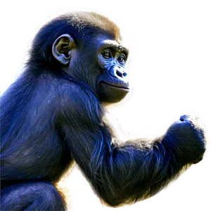 Playful Young Gorilla Png Mtj49 PNG image