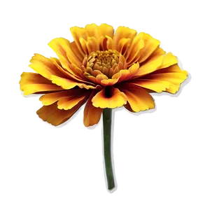 Pleasing Marigold Art PNG 06202024 PNG