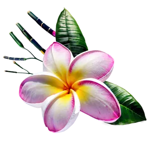 Plumeria Beauty PNG 27 PNG