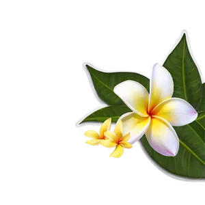 Plumeria Clipart Png 06272024 PNG image