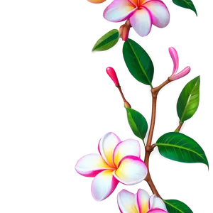 Plumeria Decoration PNG Dph