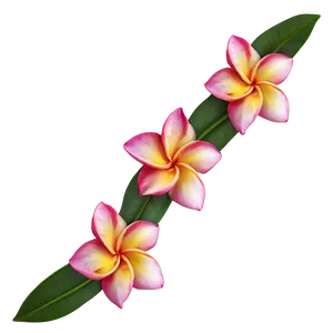 Plumeria Decoration PNG Nim