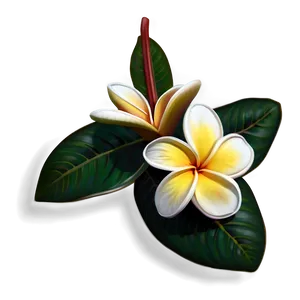 Plumeria Drawing PNG 06272024